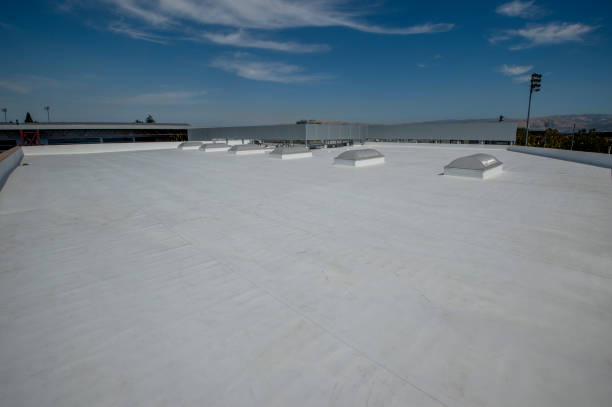 Best Roof Inspection  in Raytown, MO