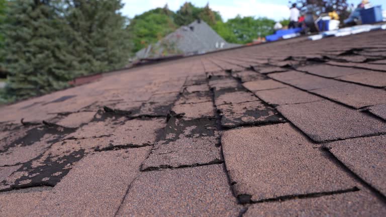 Best Roof Leak Repair  in Raytown, MO