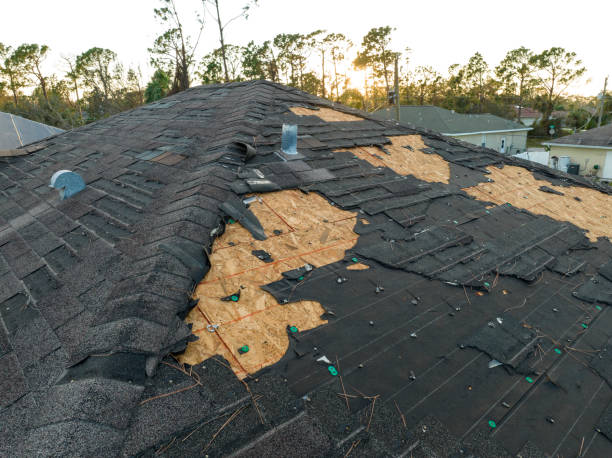 Best Gutter Installation and Repair  in Raytown, MO