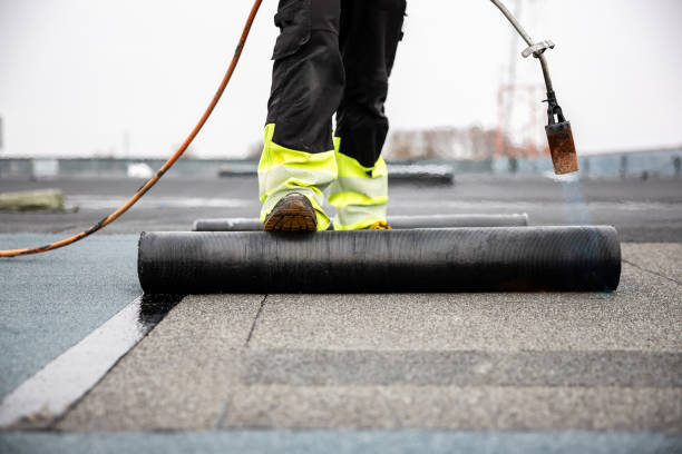 Best Metal Roofing Installation  in Raytown, MO