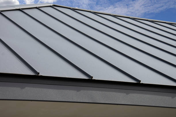 Best Skylight Installation and Repair  in Raytown, MO